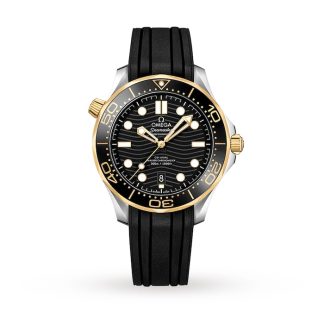 Omega Seamaster Diver 300 Co-Axial Mens Watch O21022422001001
