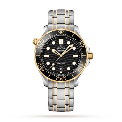 Omega Seamaster Pro-Diver 300 Mens Watch O21020422001002